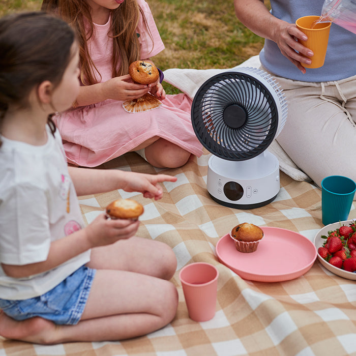 MeacoFan Sefte® 6" Portable Battery Air Circulator with Storage Bag